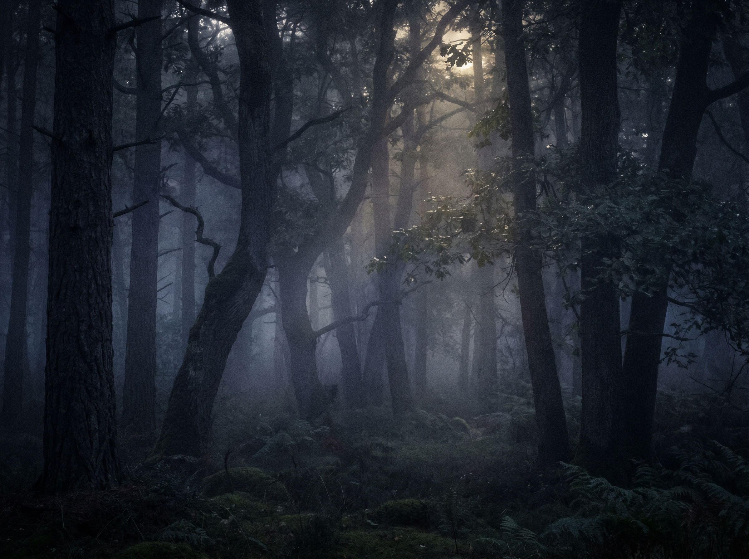 A misty, moonlit forest at dusk, dark trees, soft indigo fog, shafts of warm light